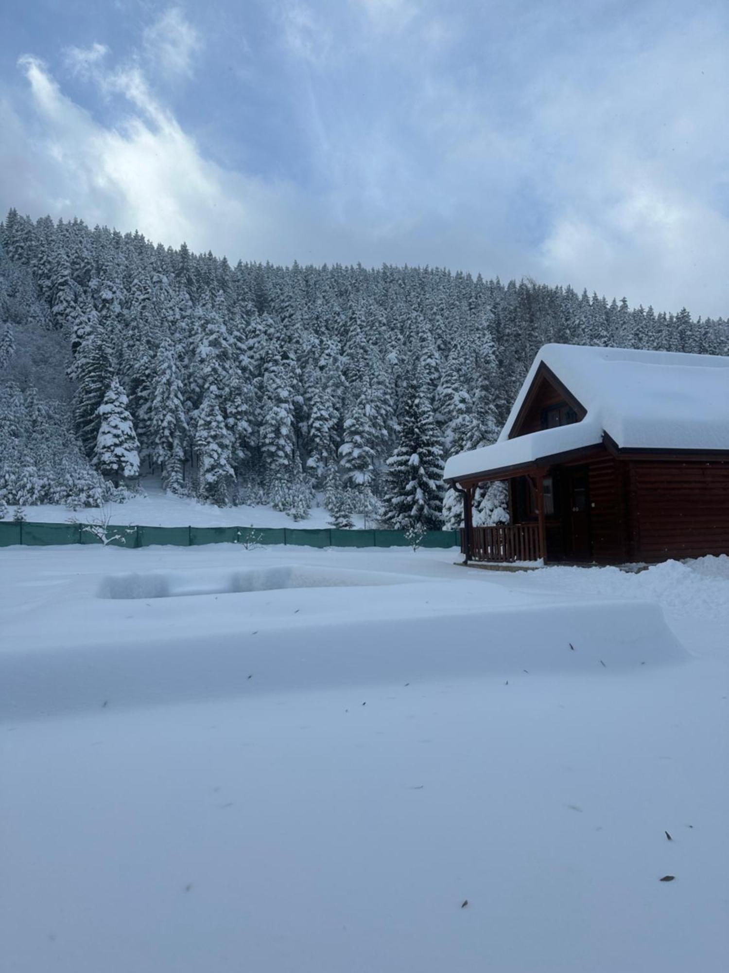 Villa Paradise Beli Iskar Esterno foto