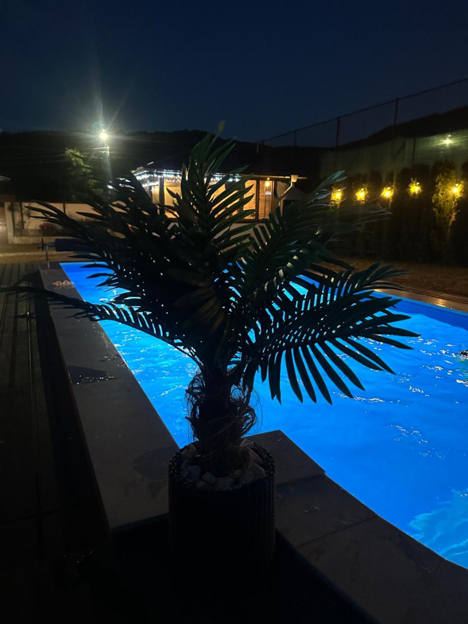 Villa Paradise Beli Iskar Esterno foto