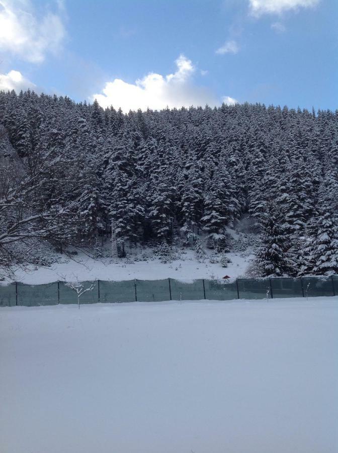 Villa Paradise Beli Iskar Esterno foto