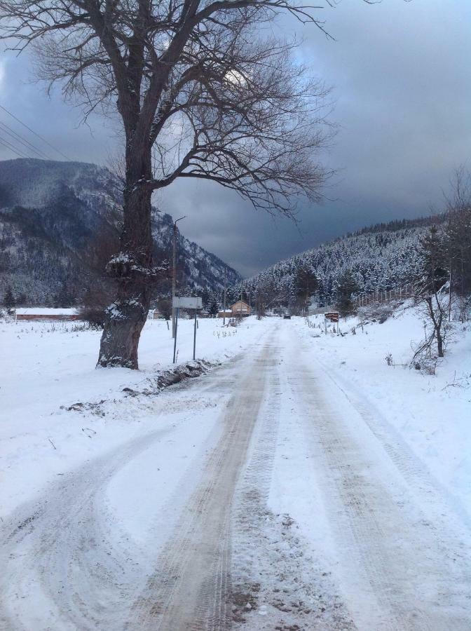 Villa Paradise Beli Iskar Esterno foto